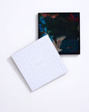 Eden Lush Garden Wool Silk Scarf - Teal