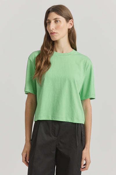 Relaxed Crop Tee - Agave