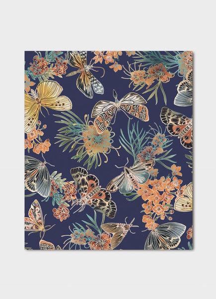 Moths of Australia Gift Card