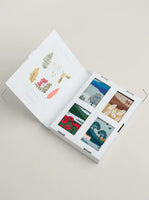 Sailor Socks - Box of 4 - Scenic Hall Walk