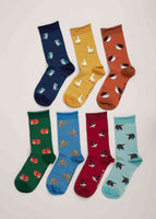Box of 7 Creatures Sailor Socks - Deer Trail Mix